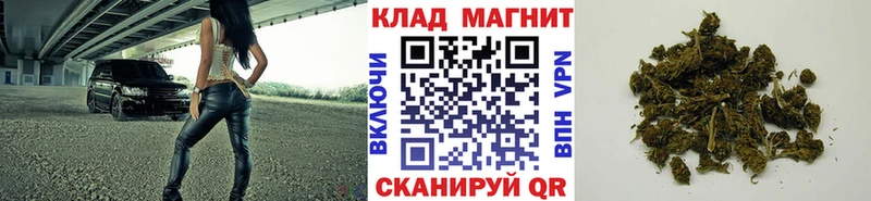 Галлюциногенные грибы Артёмовский
